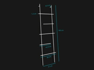 ENDRA ladder